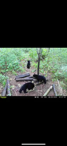 $609,400 | 239 County 49 Northwest, Pine River, MN 56474