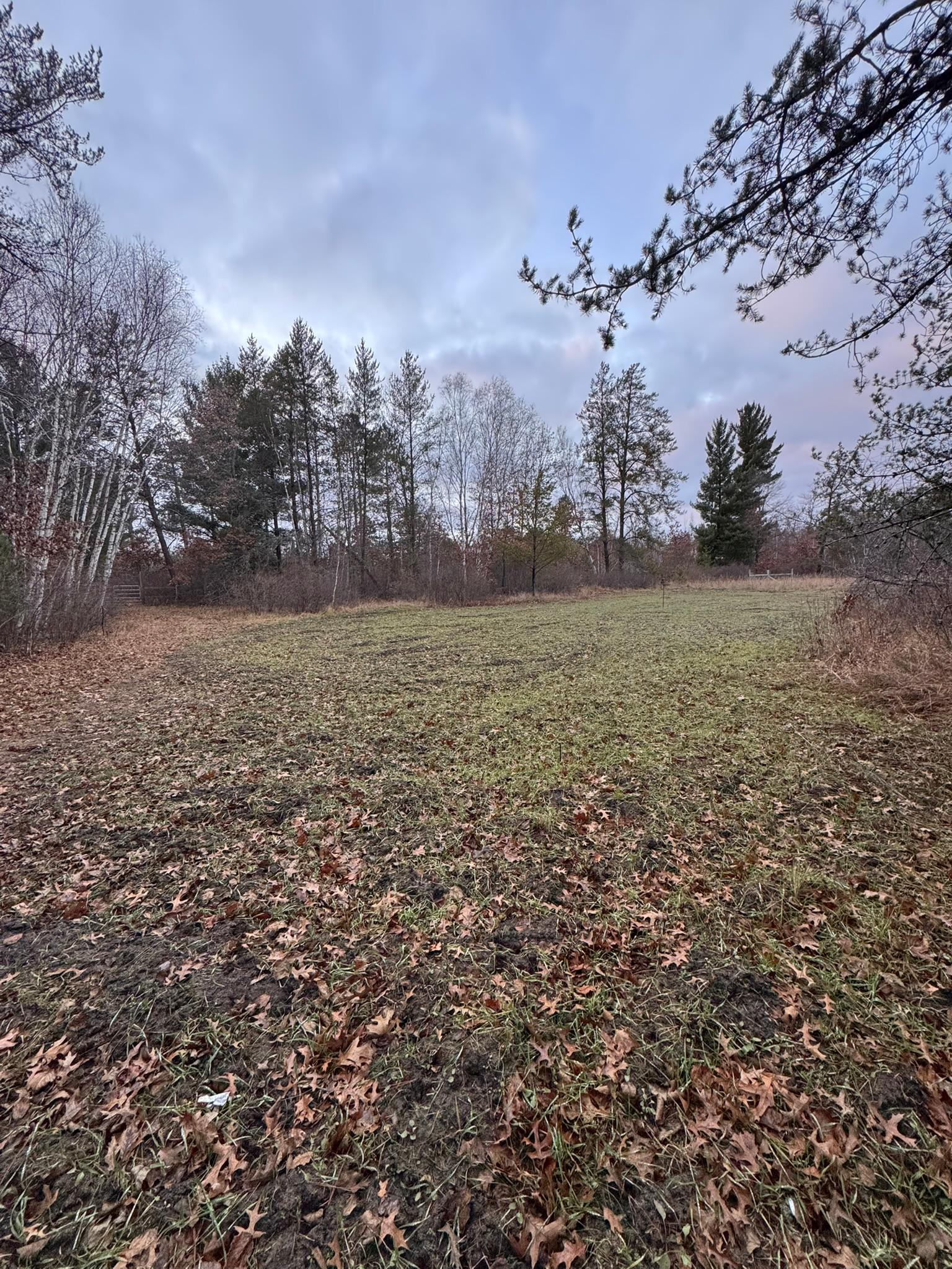 239 County 49 Northwest Pine River, MN 56474 - Photo 95 of 104