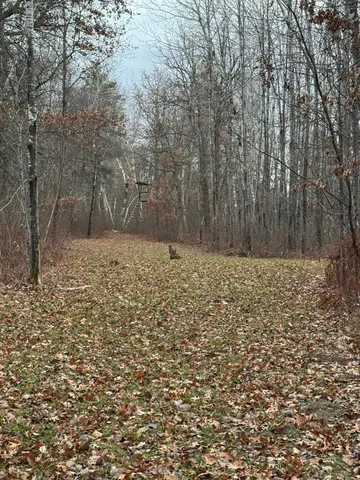 $609,400 | 239 County 49 Northwest, Pine River, MN 56474