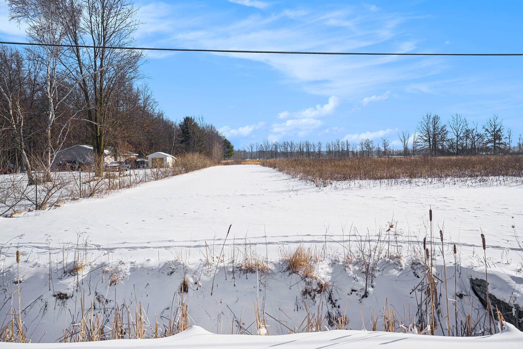 Vl Marshall Road Birch Run, MI 48415 - Photo 3 of 17 VL Marshall Rd_3