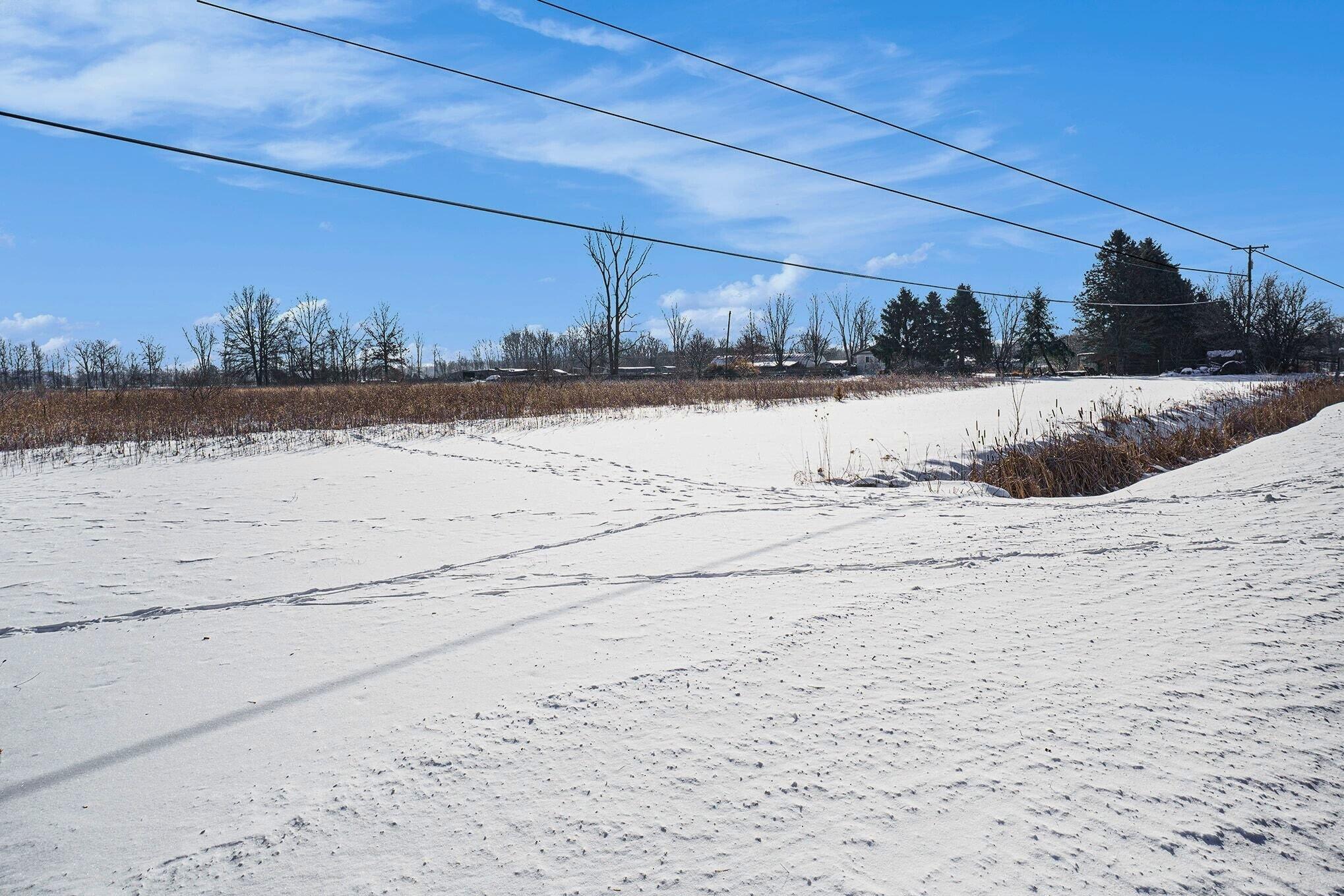Vl Marshall Road Birch Run, MI 48415 - Photo 5 of 17 VL Marshall Rd_5