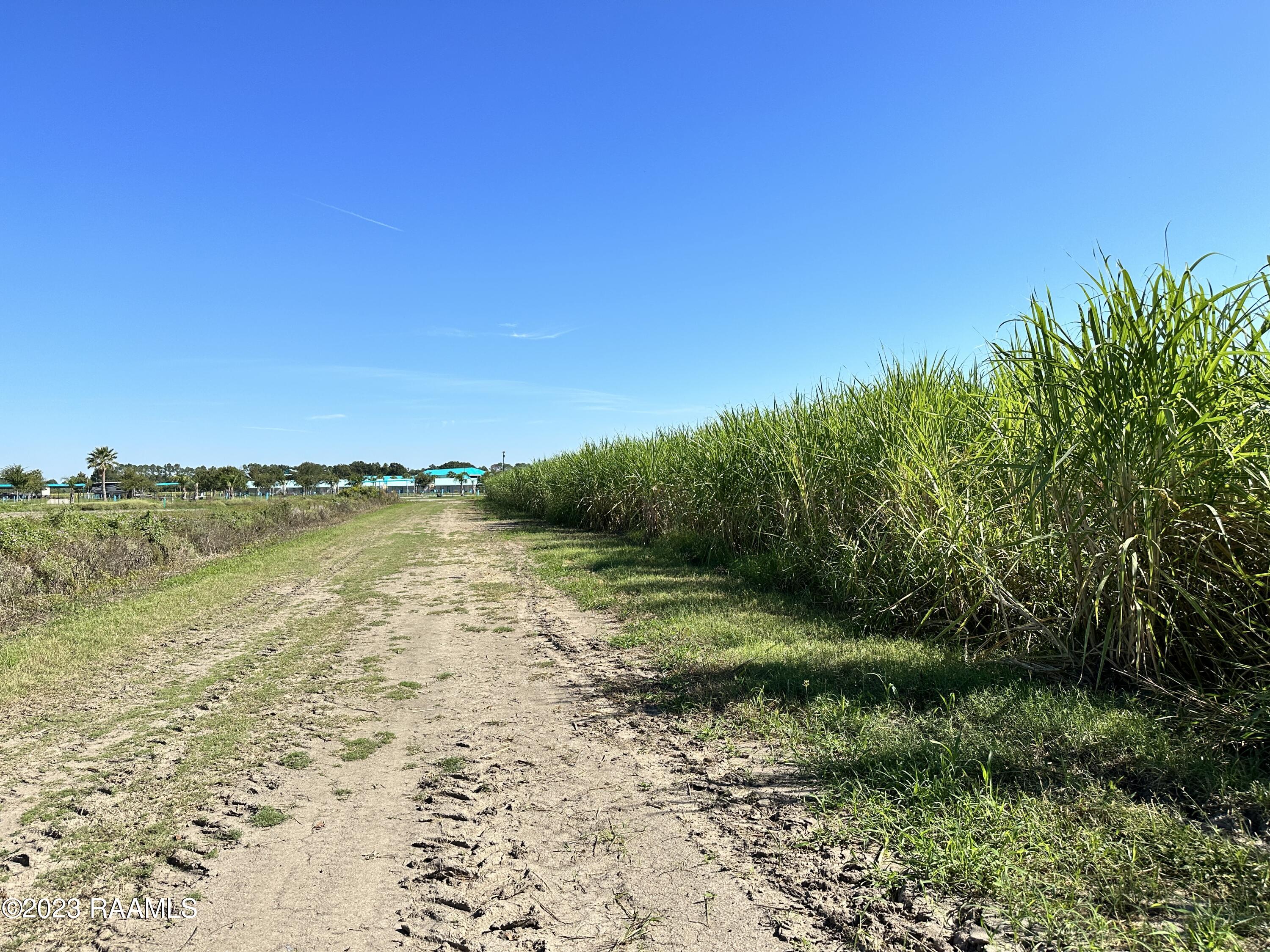 North Barn Road Breaux Bridge, LA 70517 - Photo 5 of 8 IMG_3334