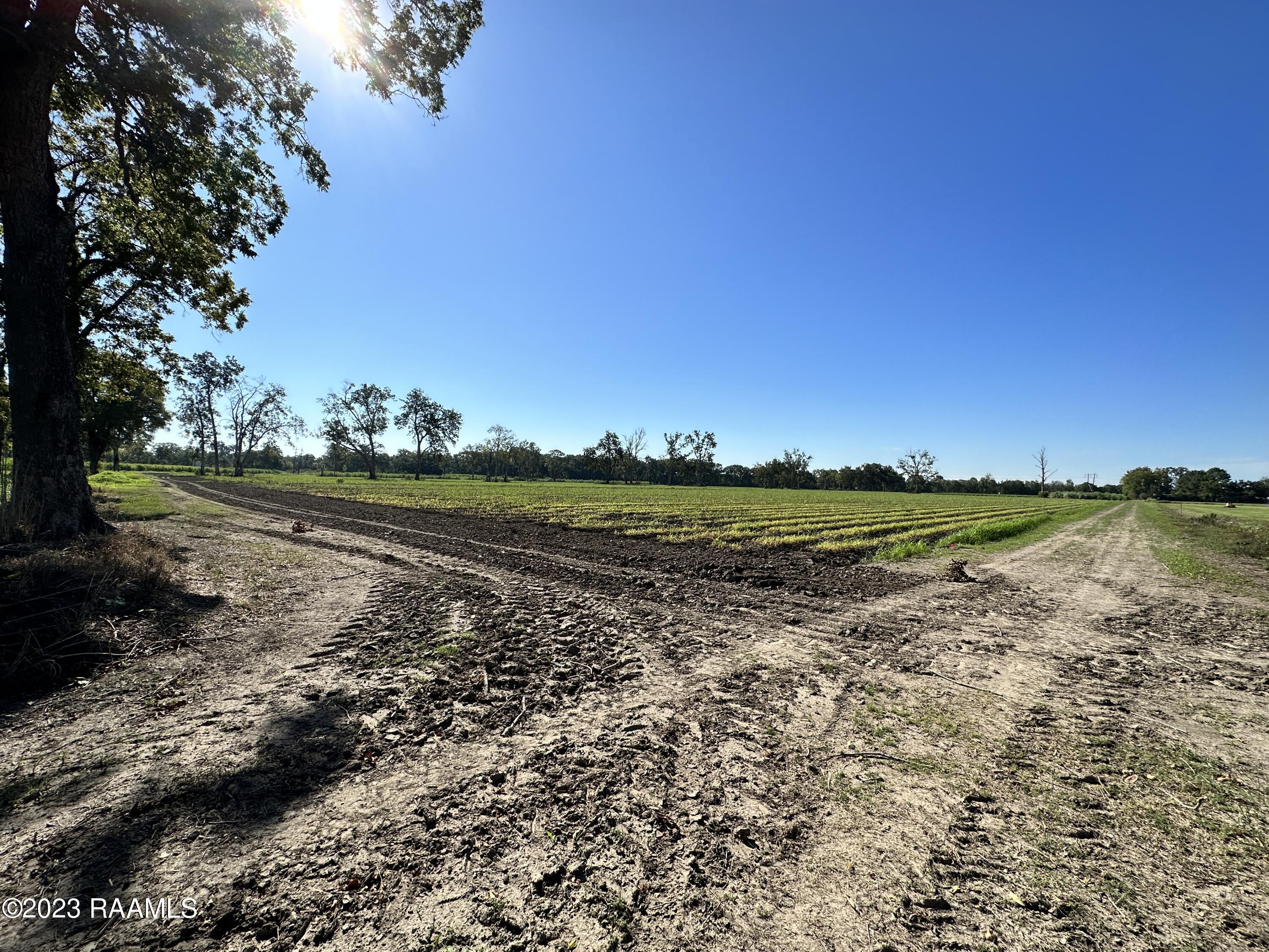 North Barn Road Breaux Bridge, LA 70517 - Photo 6 of 8 IMG_3331