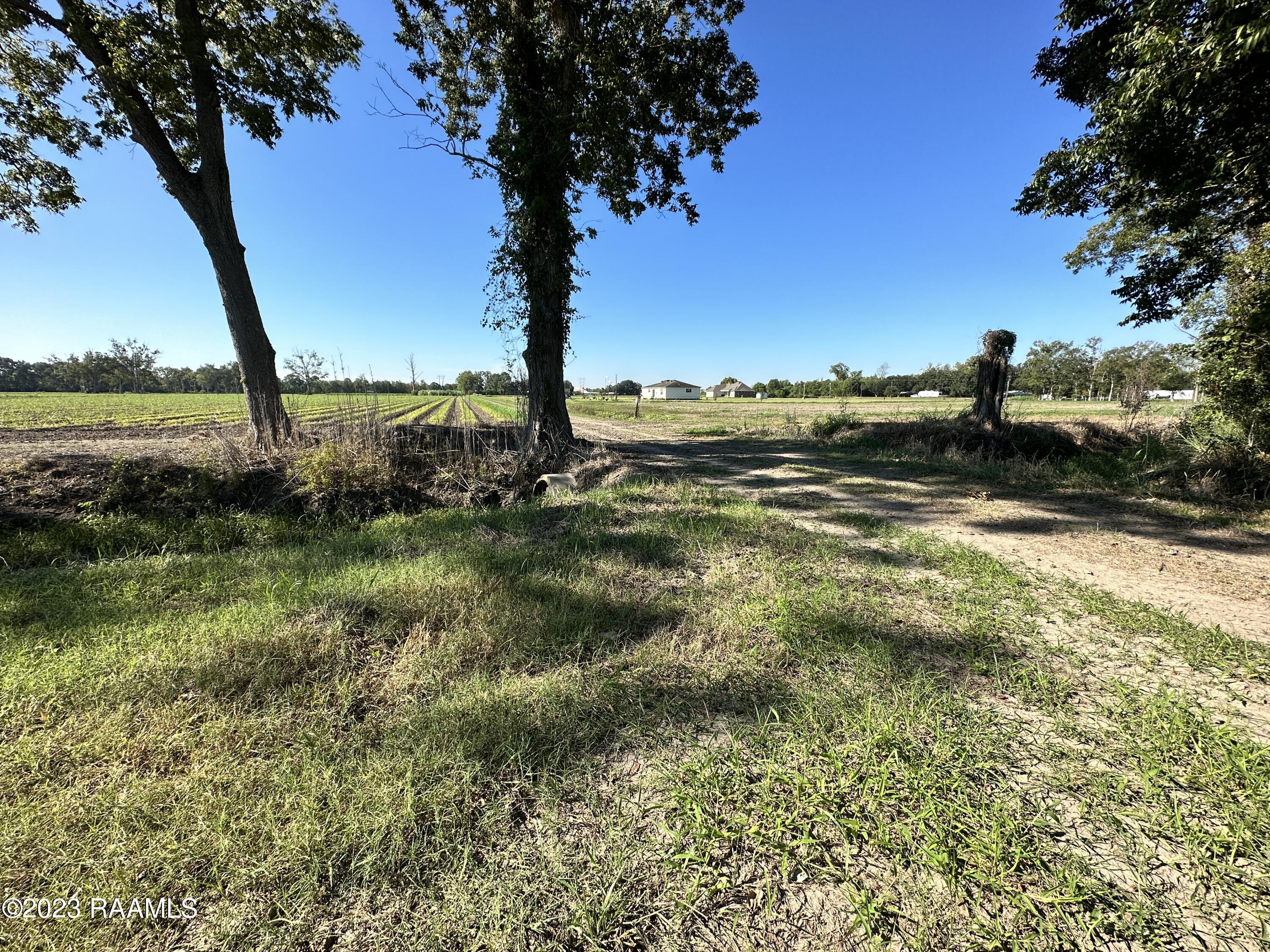 North Barn Road Breaux Bridge, LA 70517 - Photo 7 of 8 IMG_3333