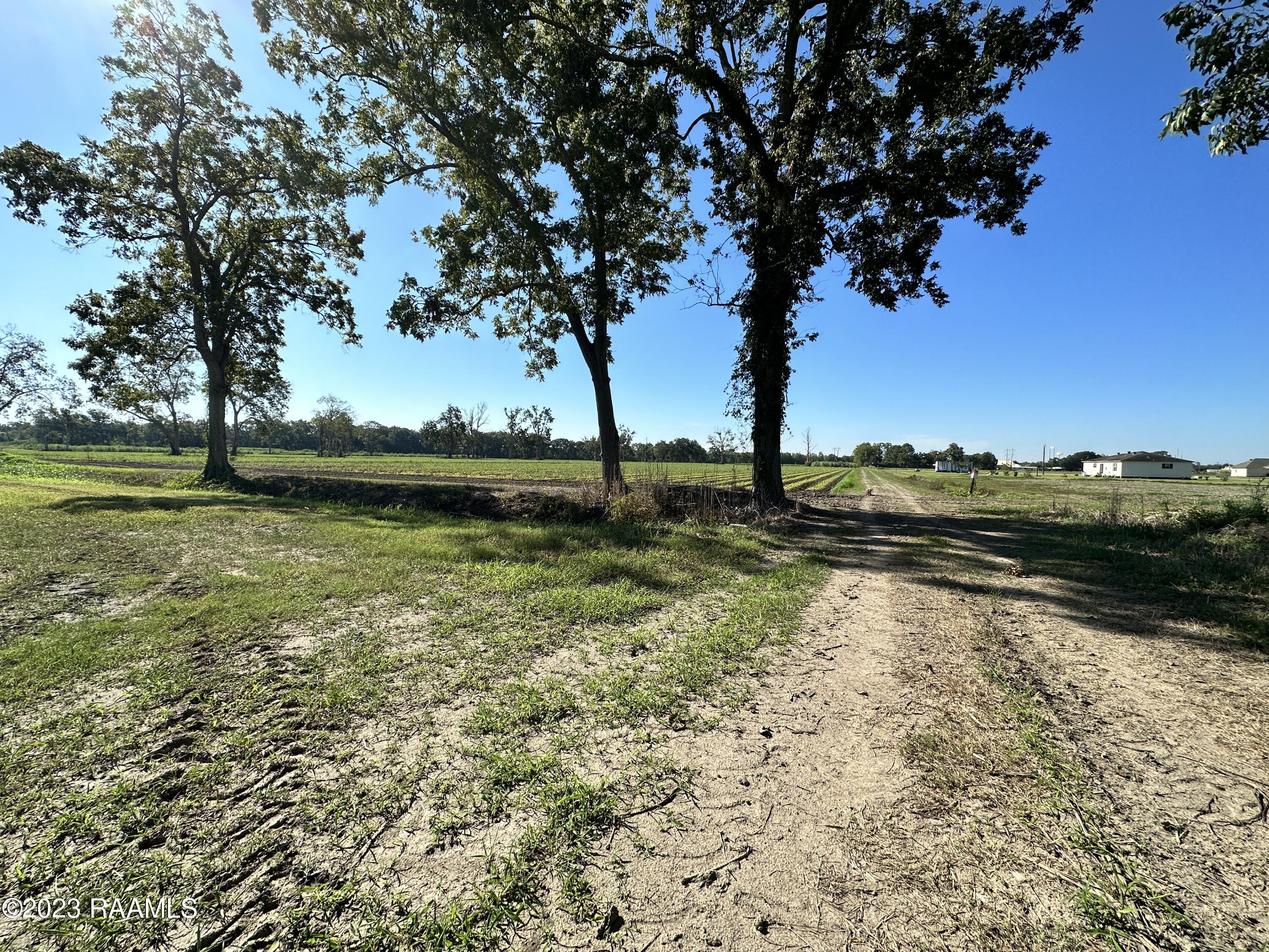North Barn Road Breaux Bridge, LA 70517 - Photo 8 of 8 IMG_3328