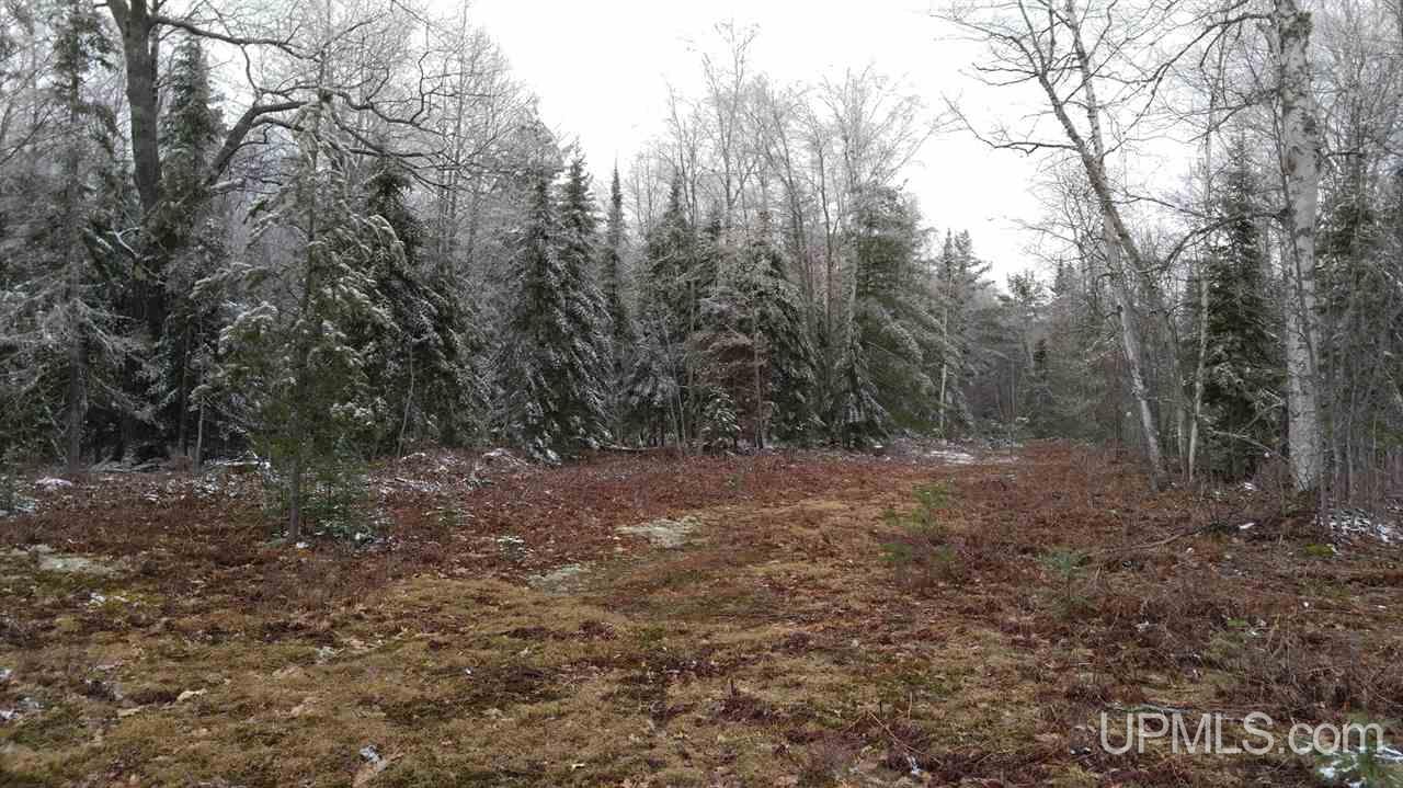 73-acres Co Rd 480 Marquette, MI 49855 - Photo 9 of 18