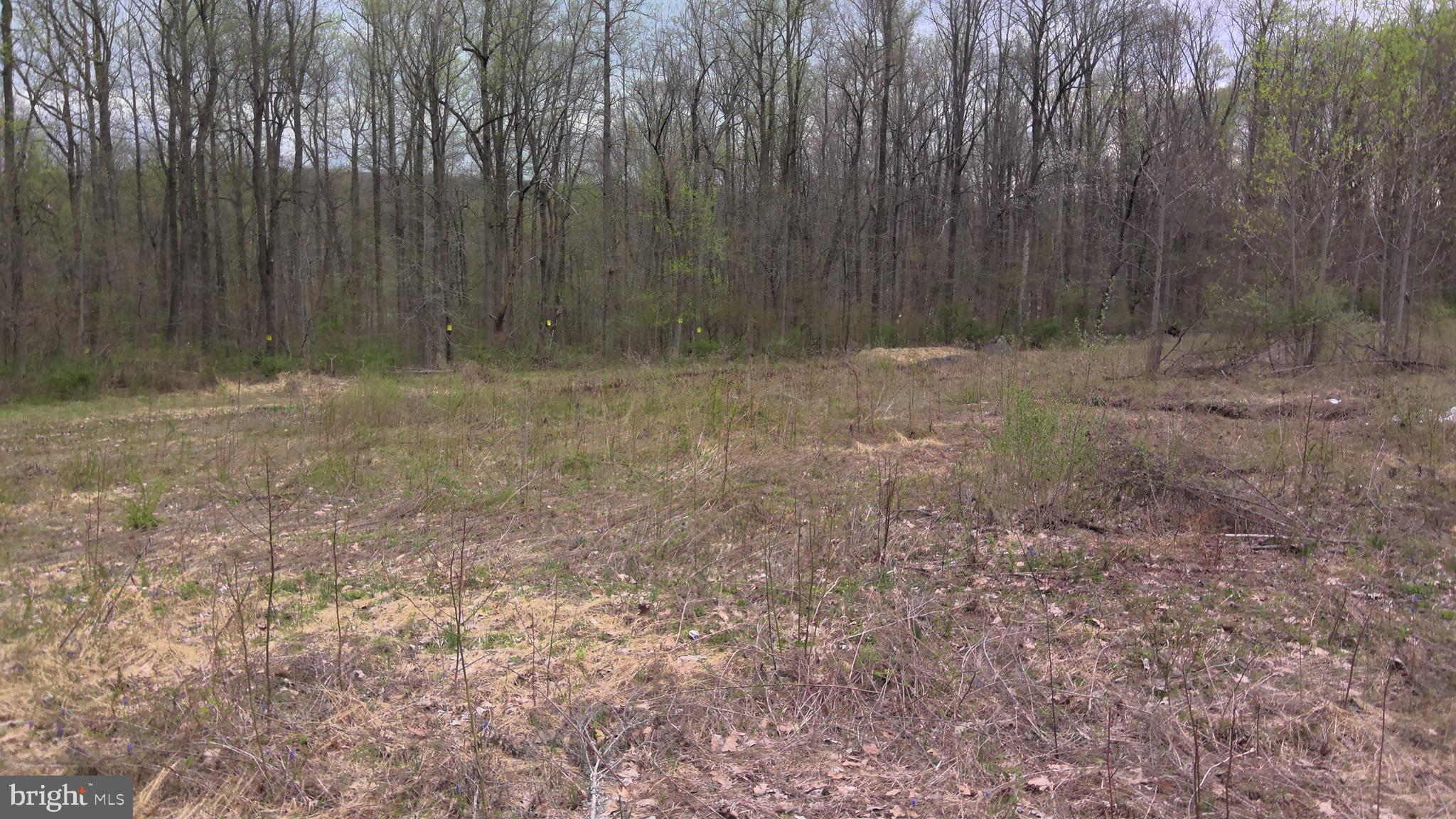 Lot #1 State Road Coopersburg, PA 18036 - Photo 1 of 3 Gallery Image 1