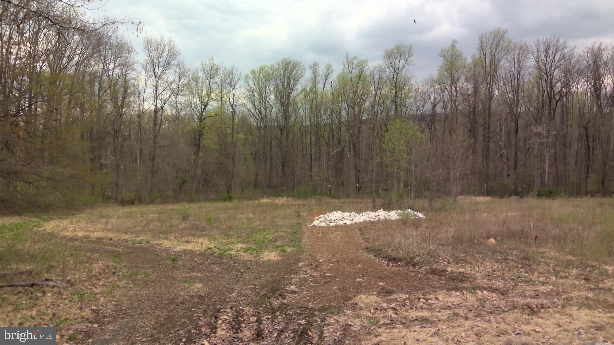 Lot #1 State Road Coopersburg, PA 18036 - Photo 2 of 3 Gallery Image 2