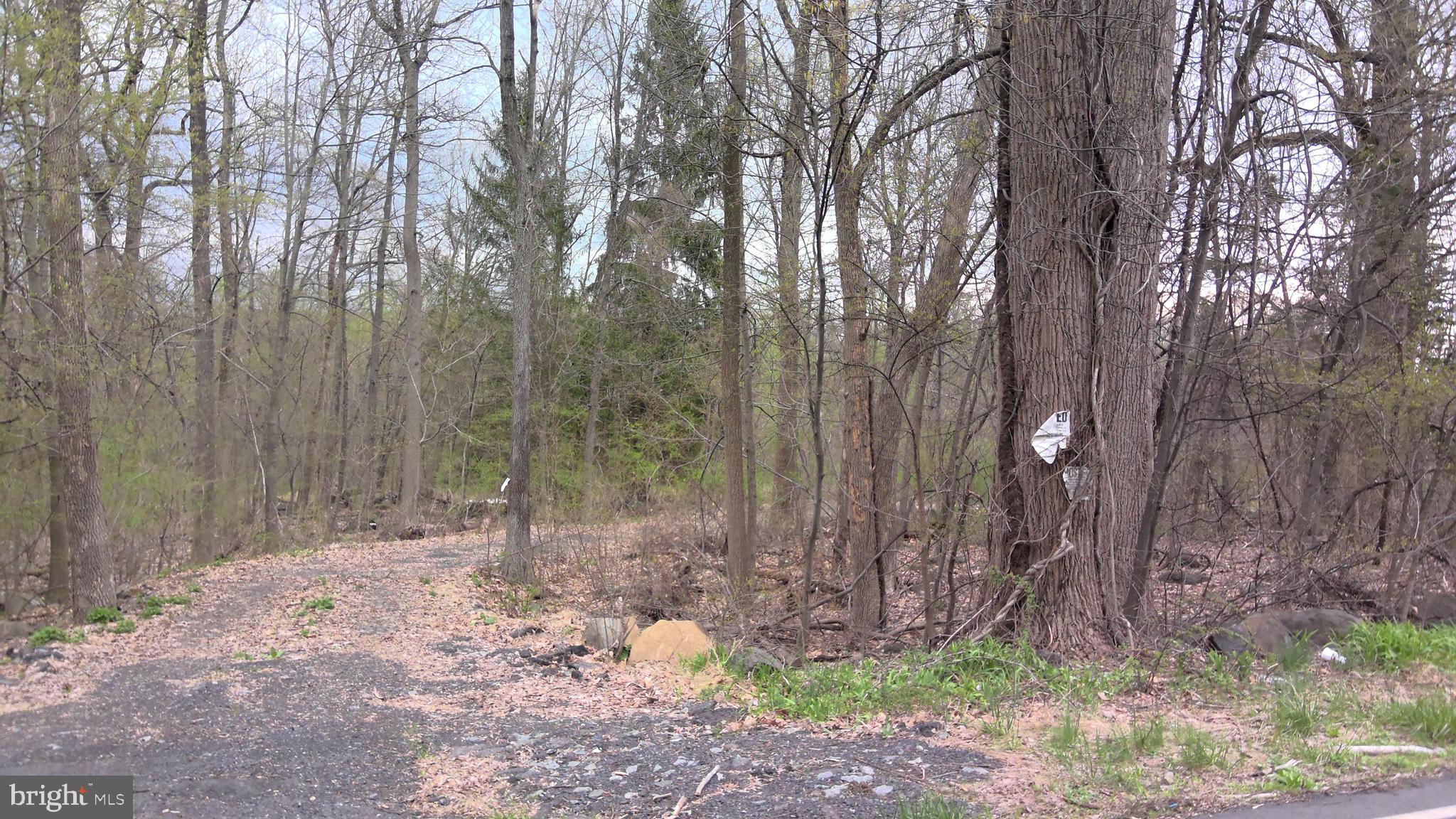 Lot #1 State Road Coopersburg, PA 18036 - Photo 3 of 3 View from Street
