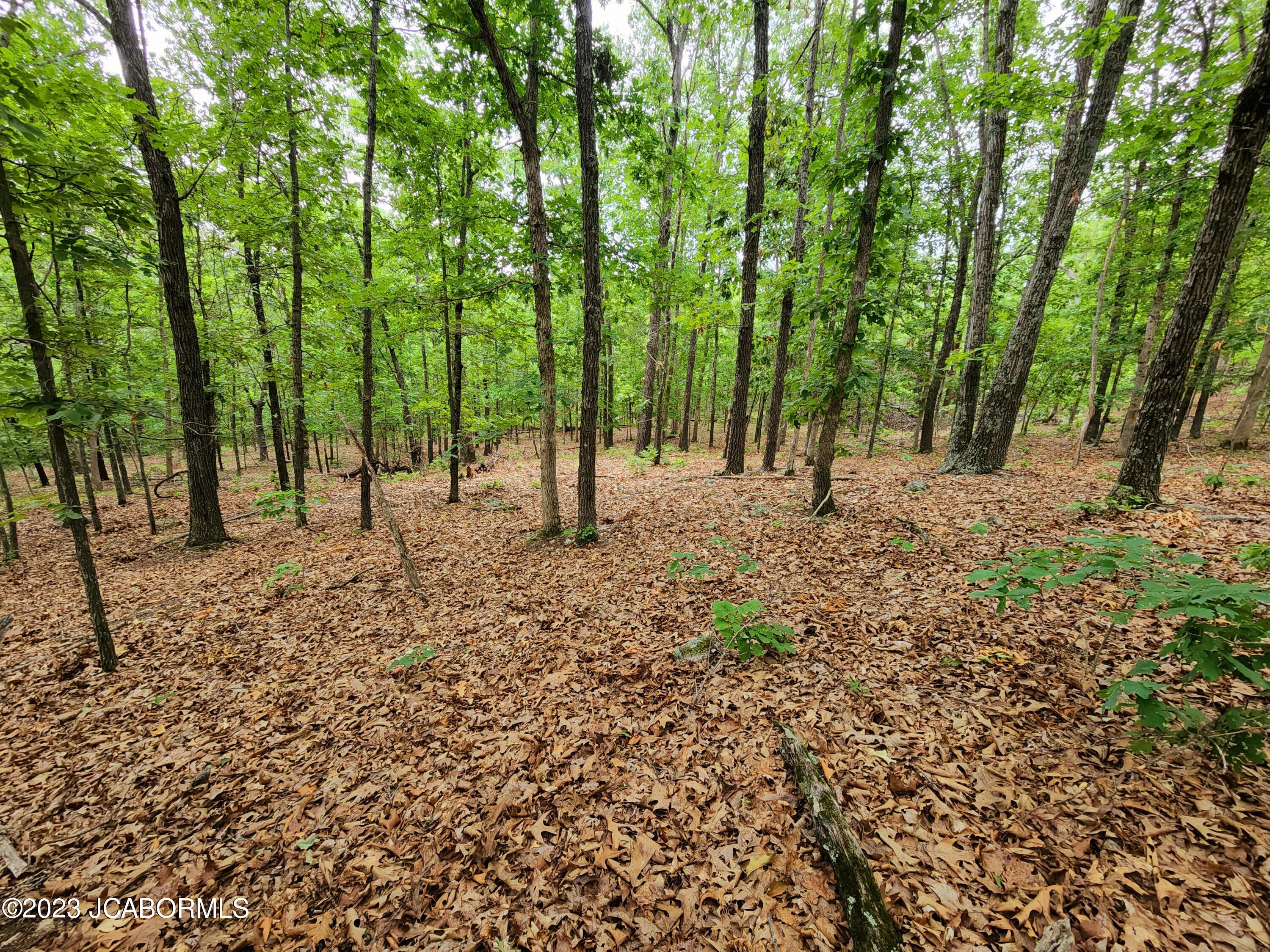 Lot 8 Copperstone Road Camdenton, MO 65020 - Photo 5 of 5