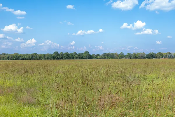 a view of a lake from a yard