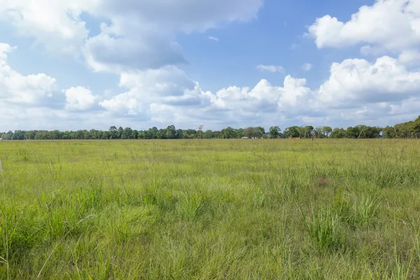 a view of a lake with a big yard