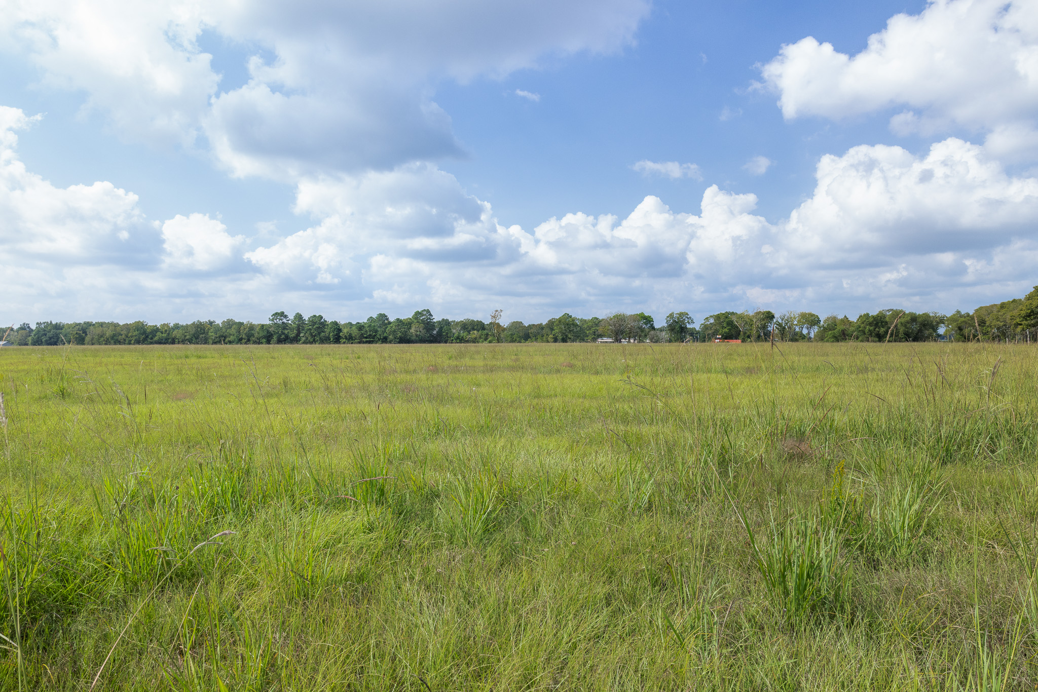 9999 Fm 834 Liberty, TX 77575 - Photo 6 of 19 a view of a lake with a big yard