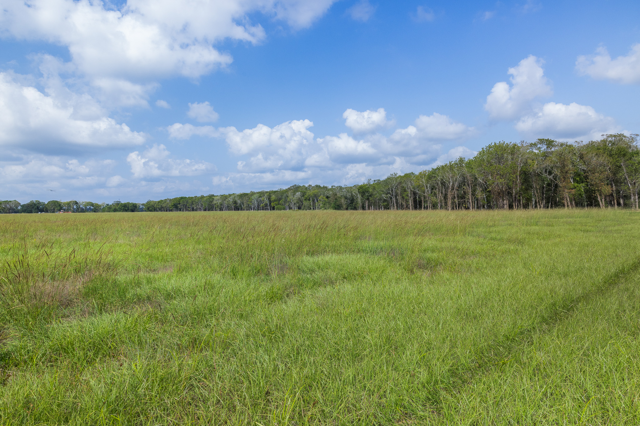 9999 Fm 834 Liberty, TX 77575 - Photo 7 of 19 a view of a lake with a big yard