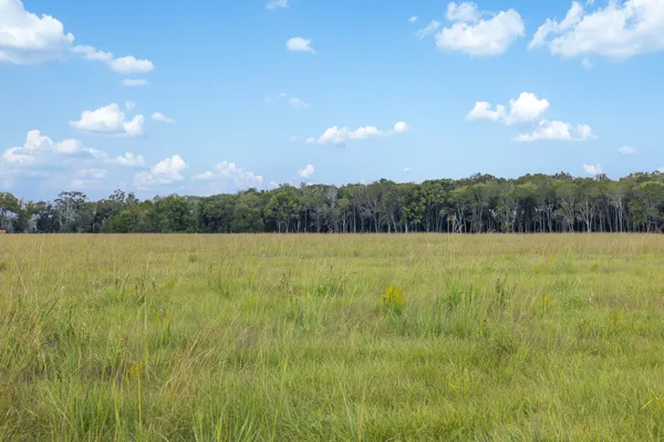 a view of lake with lots of green space