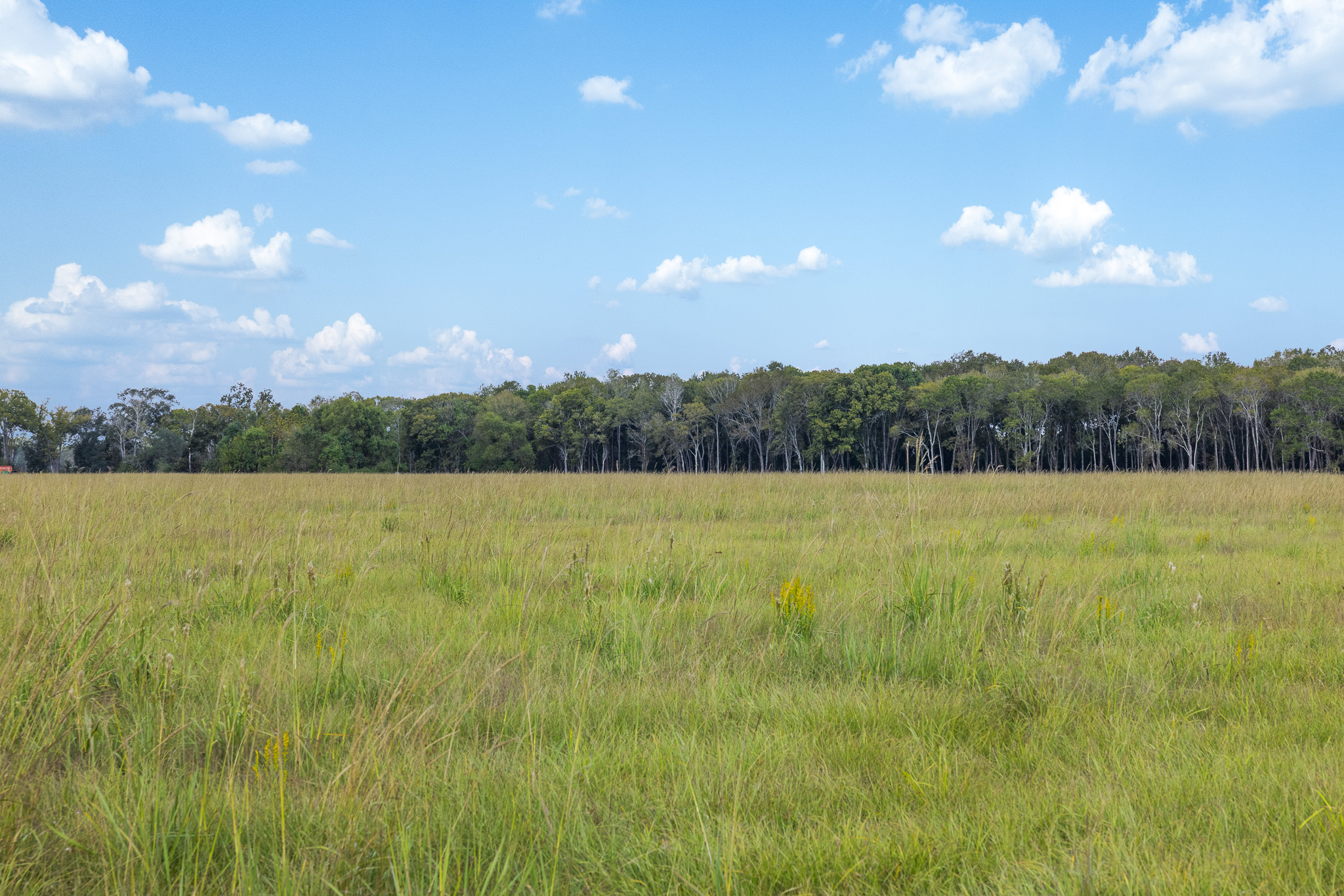 9999 Fm 834 Liberty, TX 77575 - Photo 8 of 19 a view of lake with lots of green space