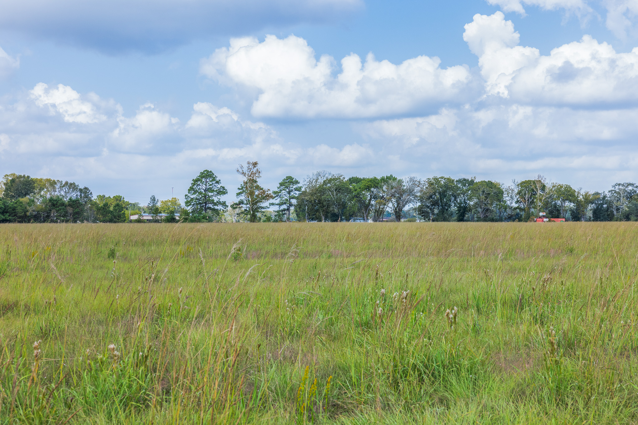 9999 Fm 834 Liberty, TX 77575 - Photo 9 of 19 a view of yard and lake view