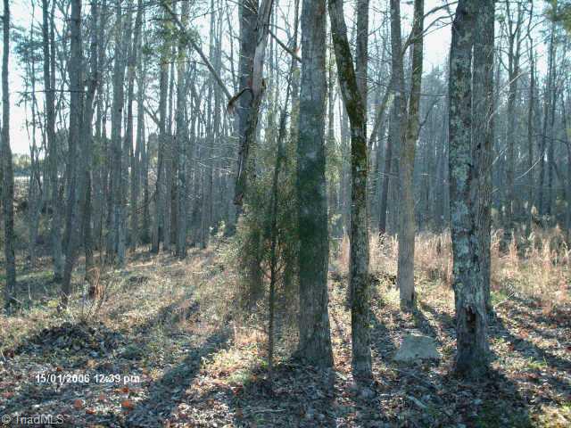 6781 Holts Store Road Julian, NC 27283 - Photo 7 of 8 Other.