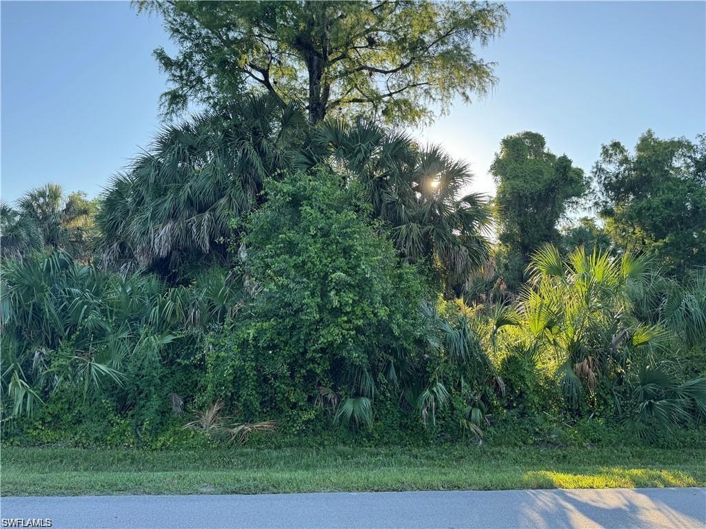 441 6th Street Southeast Naples, FL 34117 - Photo 2 of 6 a view of swimming pool from a yard