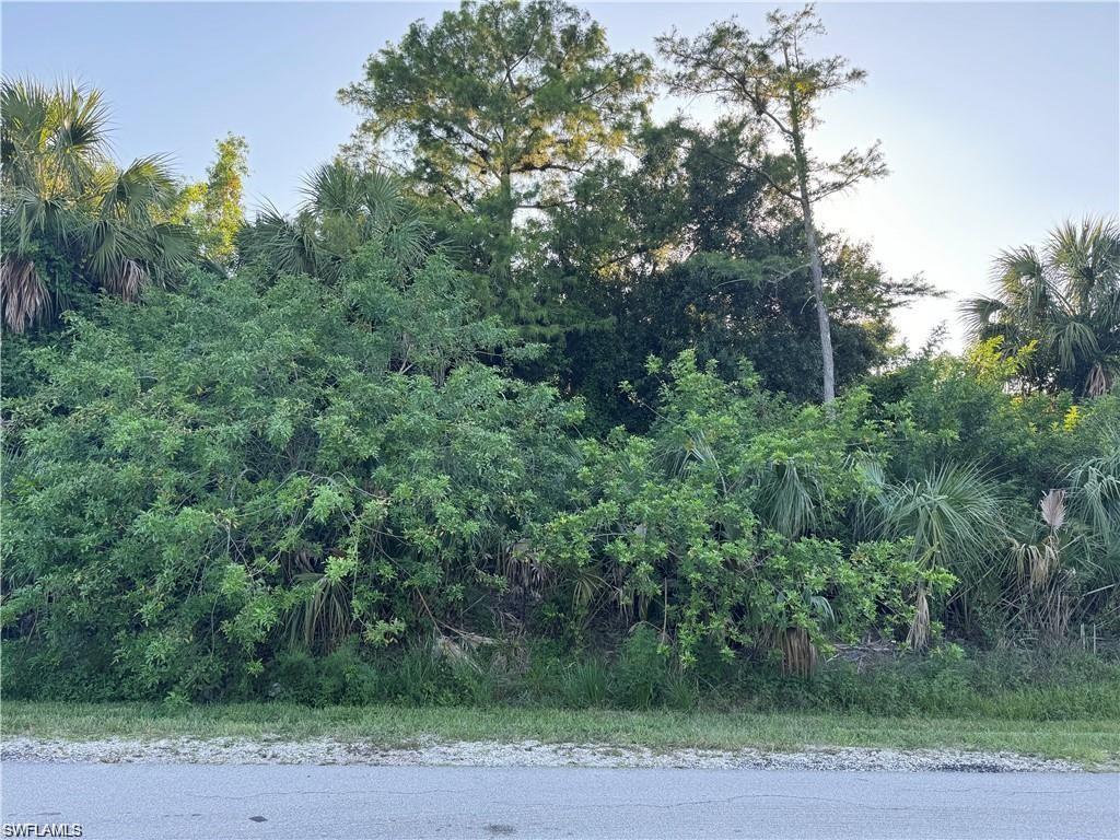 441 6th Street Southeast Naples, FL 34117 - Photo 3 of 6 an aerial view of a yard