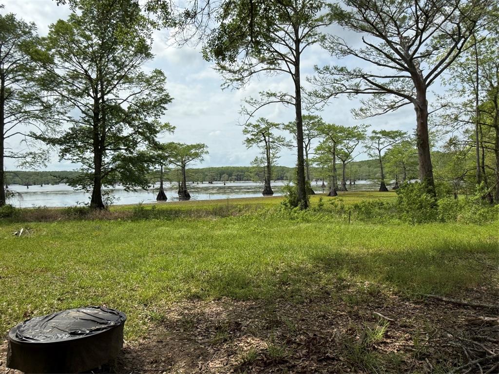 11756 Catfish Road Vivian, LA 71082 - Photo 2 of 17 View from front of the cabin