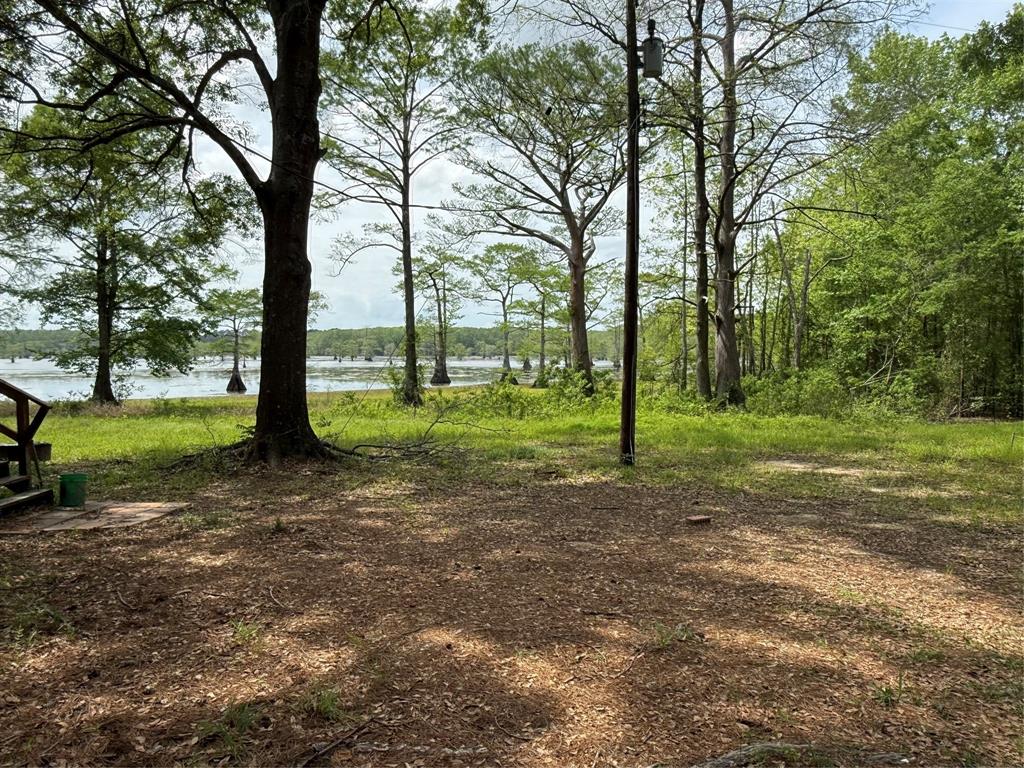 11756 Catfish Road Vivian, LA 71082 - Photo 5 of 17 Parking area facing the Lake