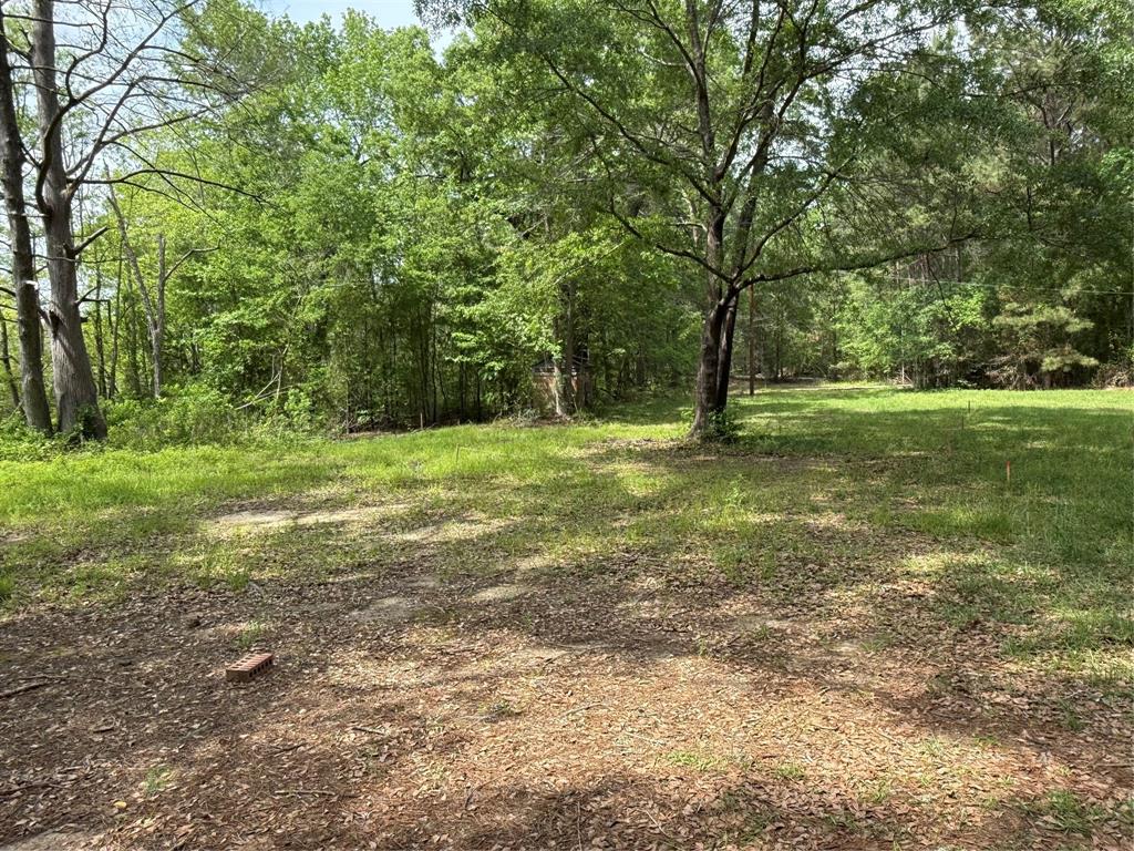 11756 Catfish Road Vivian, LA 71082 - Photo 6 of 17 Part of the lot facing away from the cabin