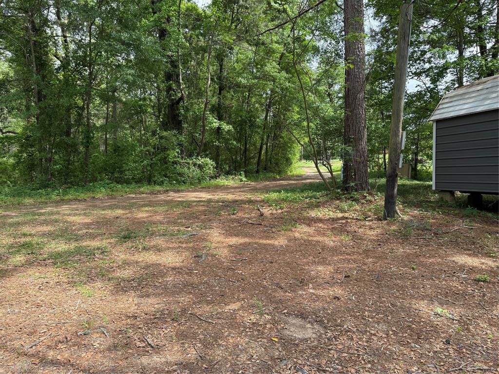 11756 Catfish Road Vivian, LA 71082 - Photo 7 of 17 View looking back towards the road behind the cabin