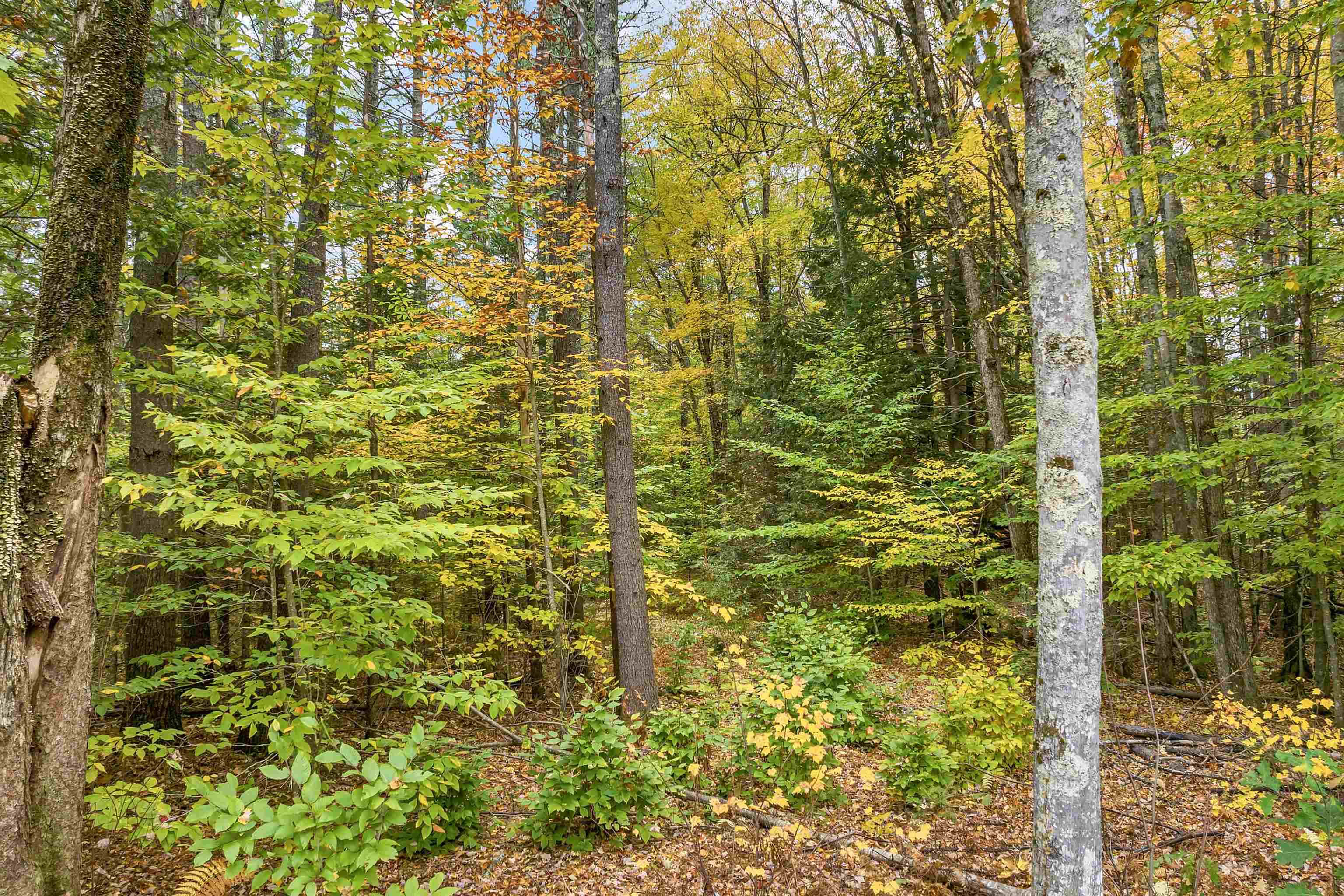 Lower Beech Hill Road Campton, NH 03223 - Photo 8 of 10