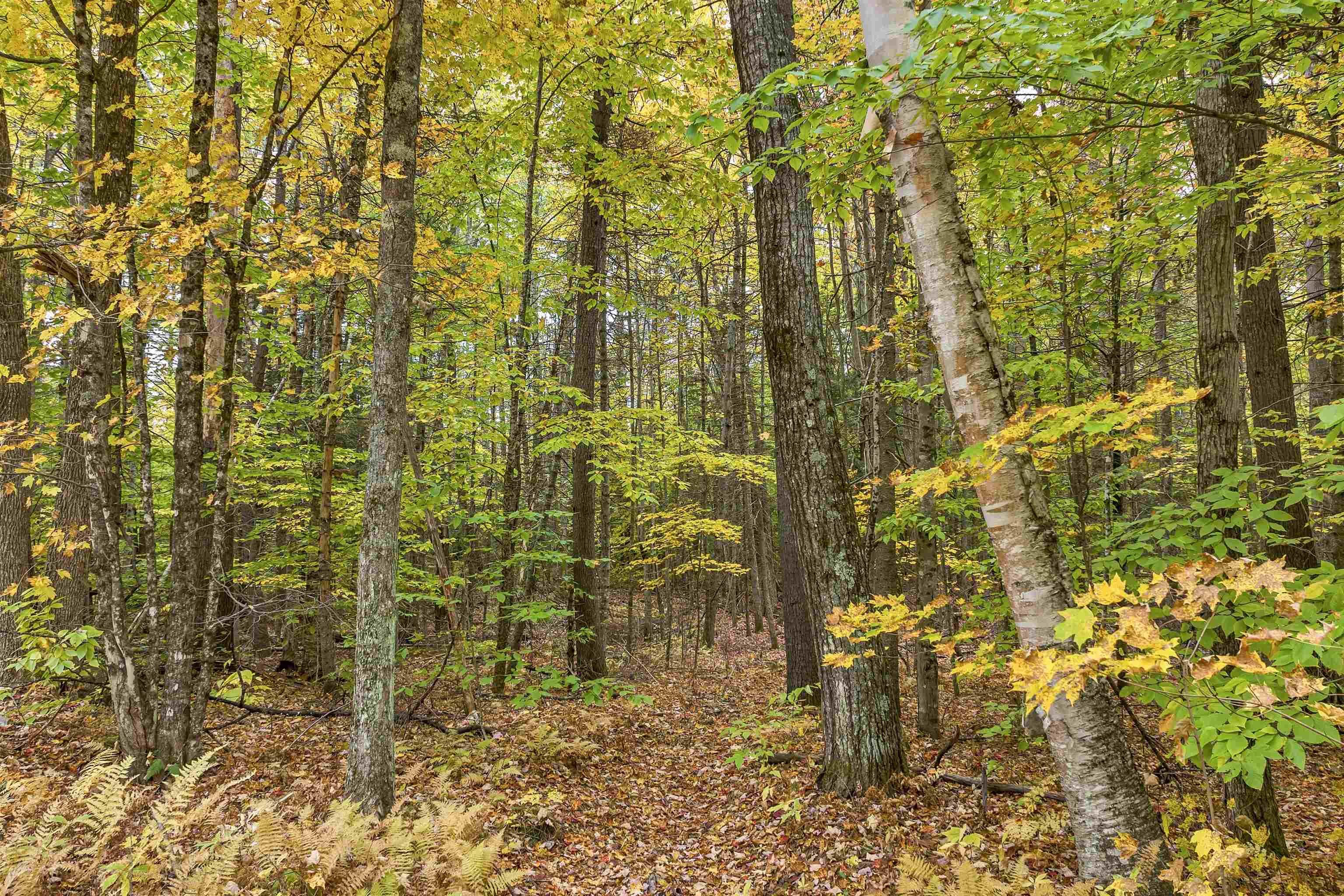 Lower Beech Hill Road Campton, NH 03223 - Photo 10 of 10