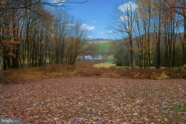 a view of backyard with green space