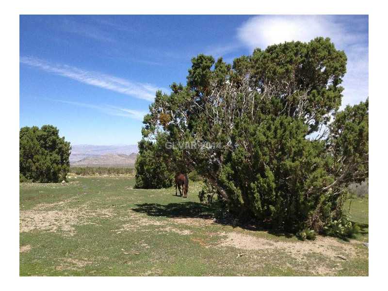 2 Lonesome Elk Road Cold Creek, NV 89124 - Photo 11 of 35 Property Photo.
