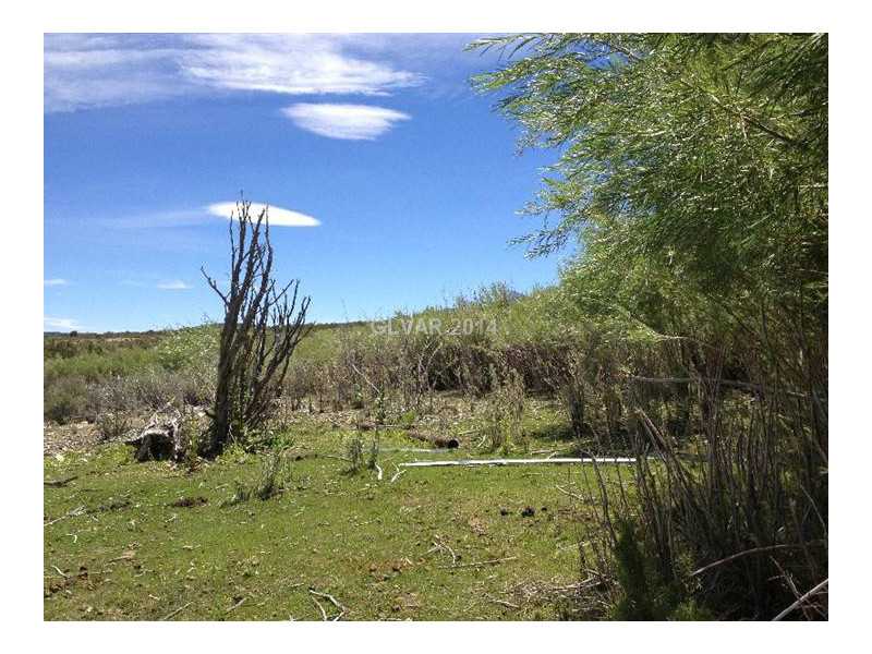 2 Lonesome Elk Road Cold Creek, NV 89124 - Photo 12 of 35 Property Photo.