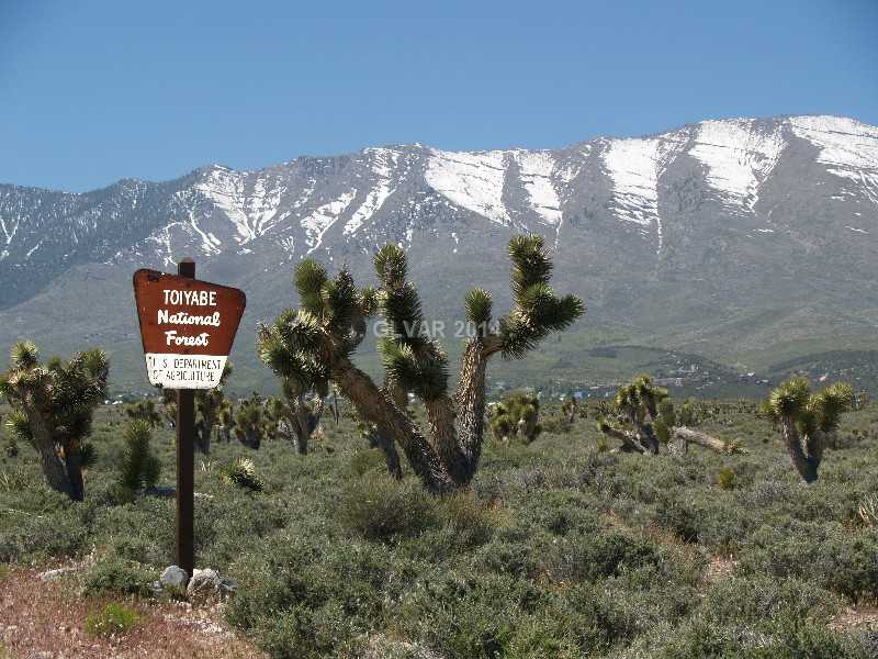 2 Lonesome Elk Road Cold Creek, NV 89124 - Photo 25 of 35 Other. Cold Creek located in Toiyabe National Forest.