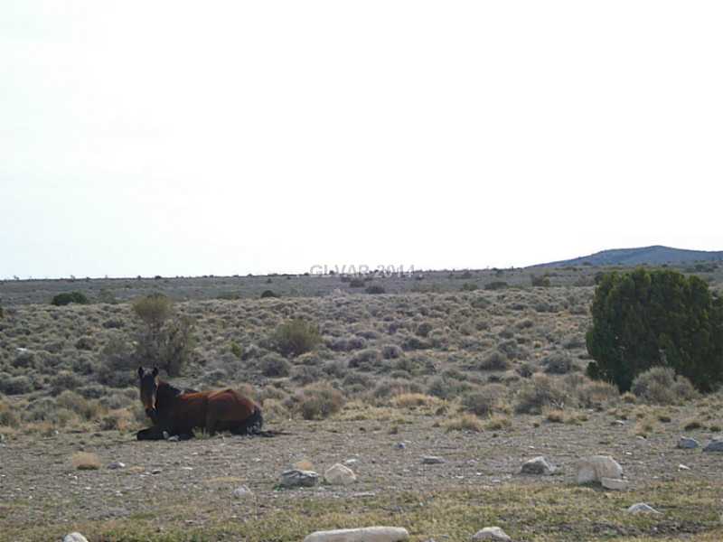 2 Lonesome Elk Road Cold Creek, NV 89124 - Photo 27 of 35 Other. Wild horses in the Cold Creek area.