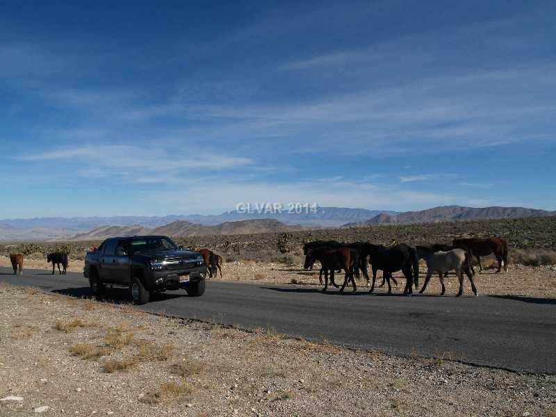 2 Lonesome Elk Road Cold Creek, NV 89124 - Photo 32 of 35 Other. Wild horses in the Cold Creek area.