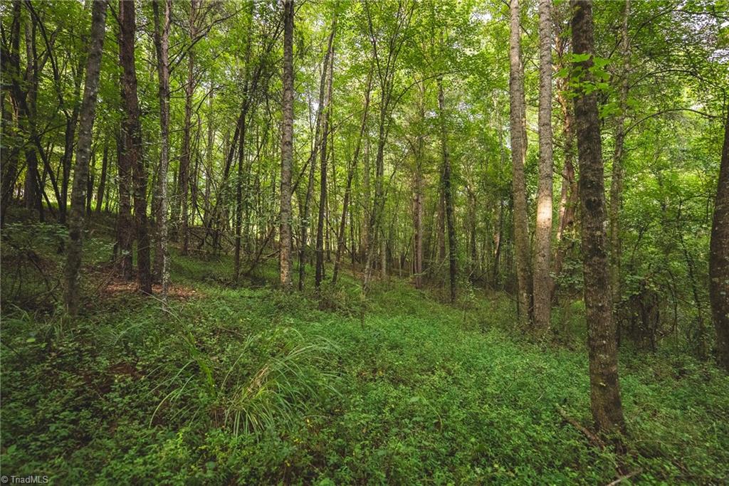 Tbd Johnson Ridge Road Elkin, NC 28621 - Photo 13 of 18