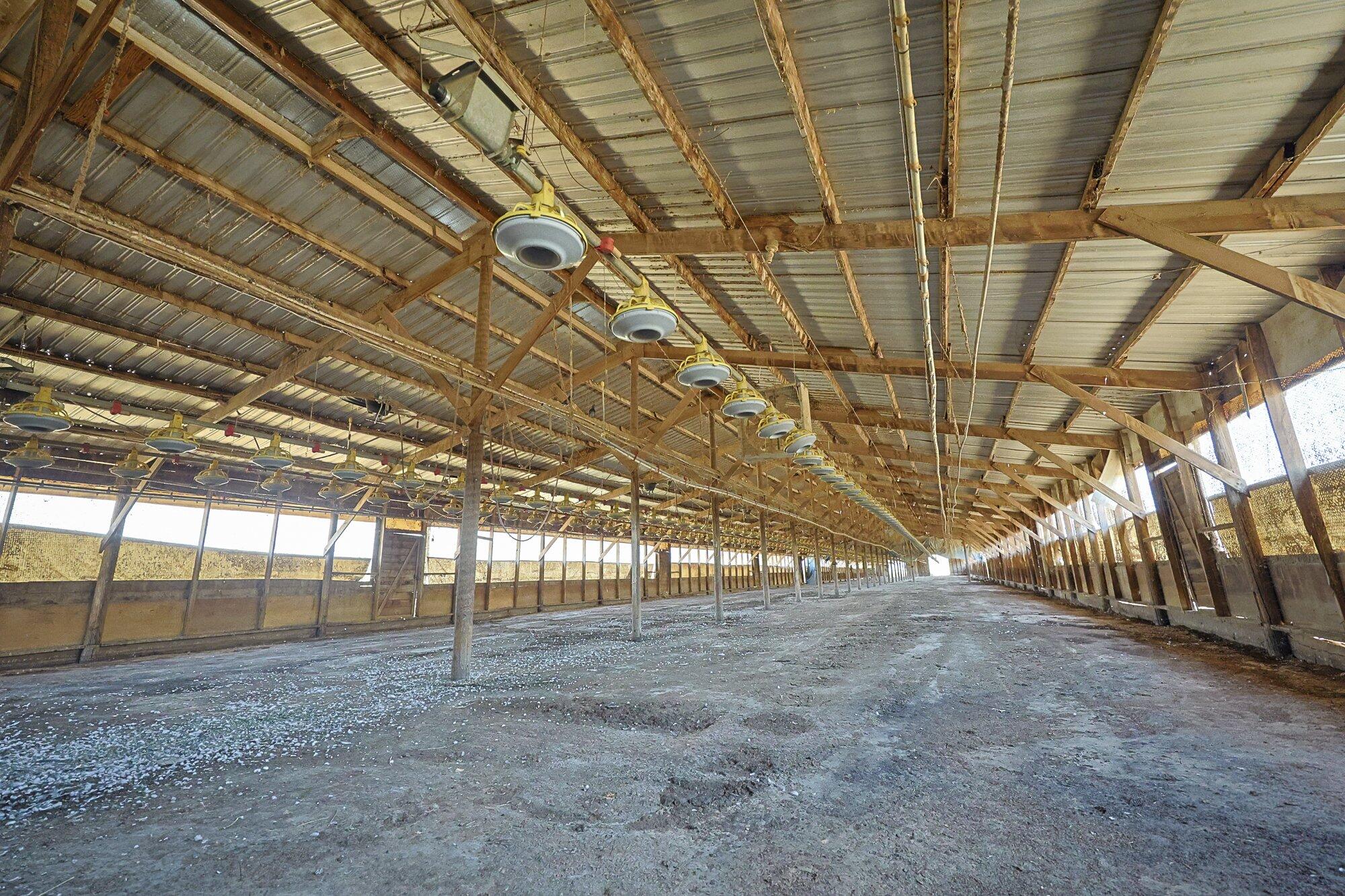 23169 Jensen Avenue Reedley, CA 93654 - Photo 9 of 24 2024-07-01-Schuil-Farms-For-Sale-00033-4