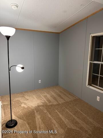 1161 Lake Henry Road Lake Ariel, PA 18436 - Photo 43 of 52 IMG_6909