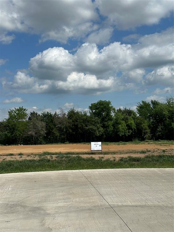 1700 Bishop Road Copper Canyon, TX 76226 - Photo 4 of 9