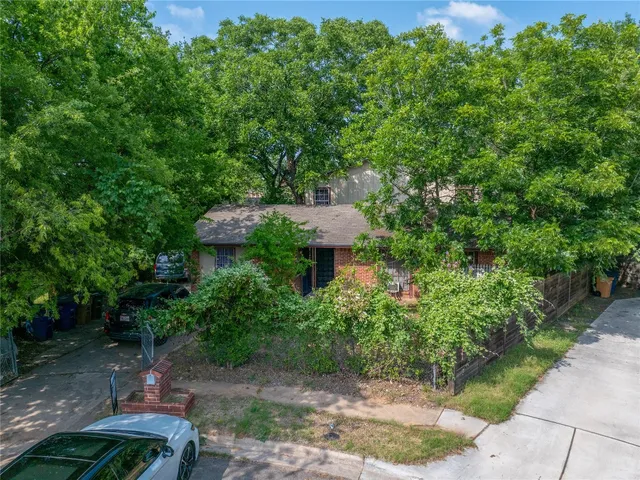 a view of a garden with plants