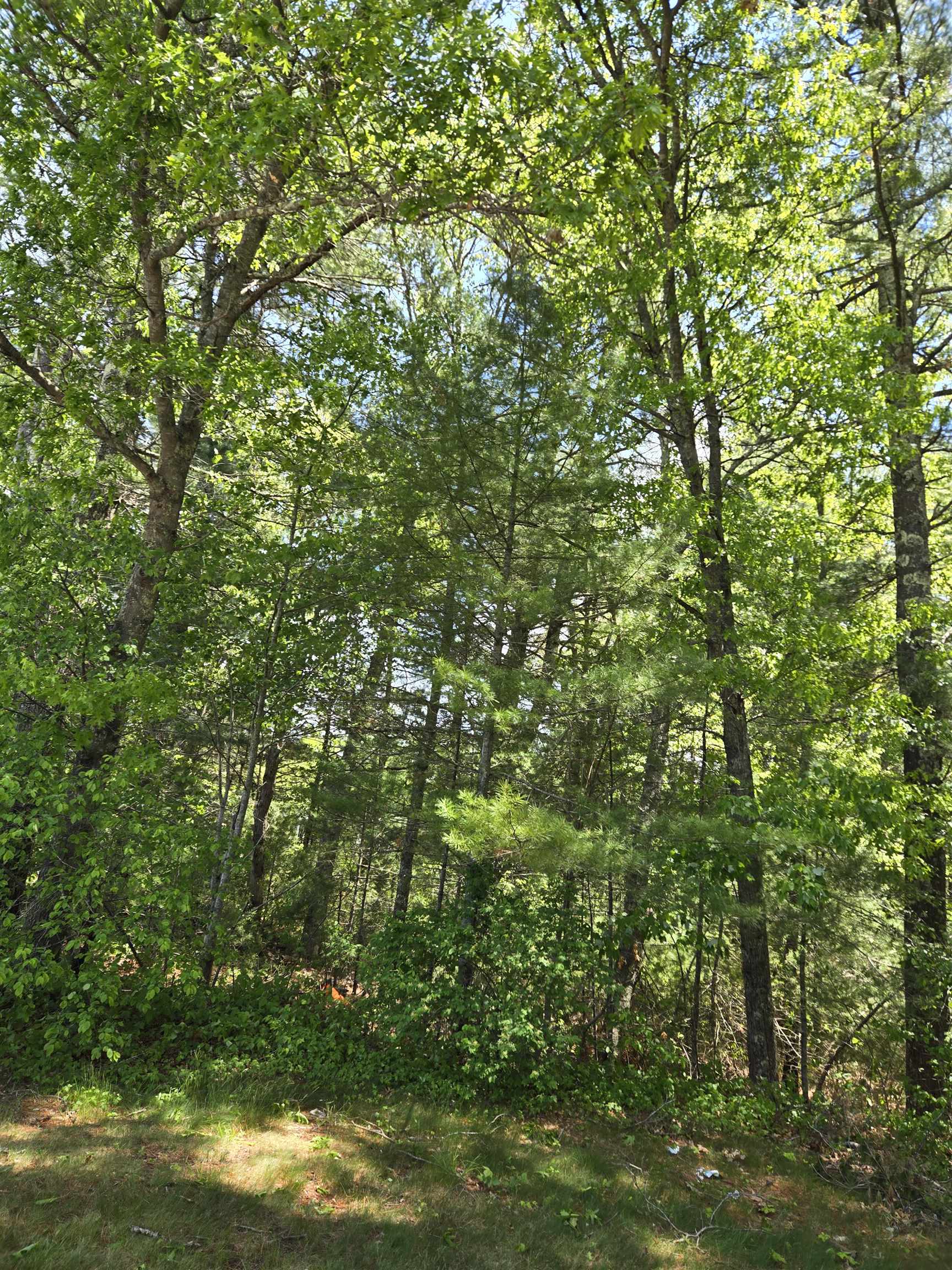 10 Issax Fox Road, Unit D10 SECTION 10 Campton, NH 03223 - Photo 3 of 6
