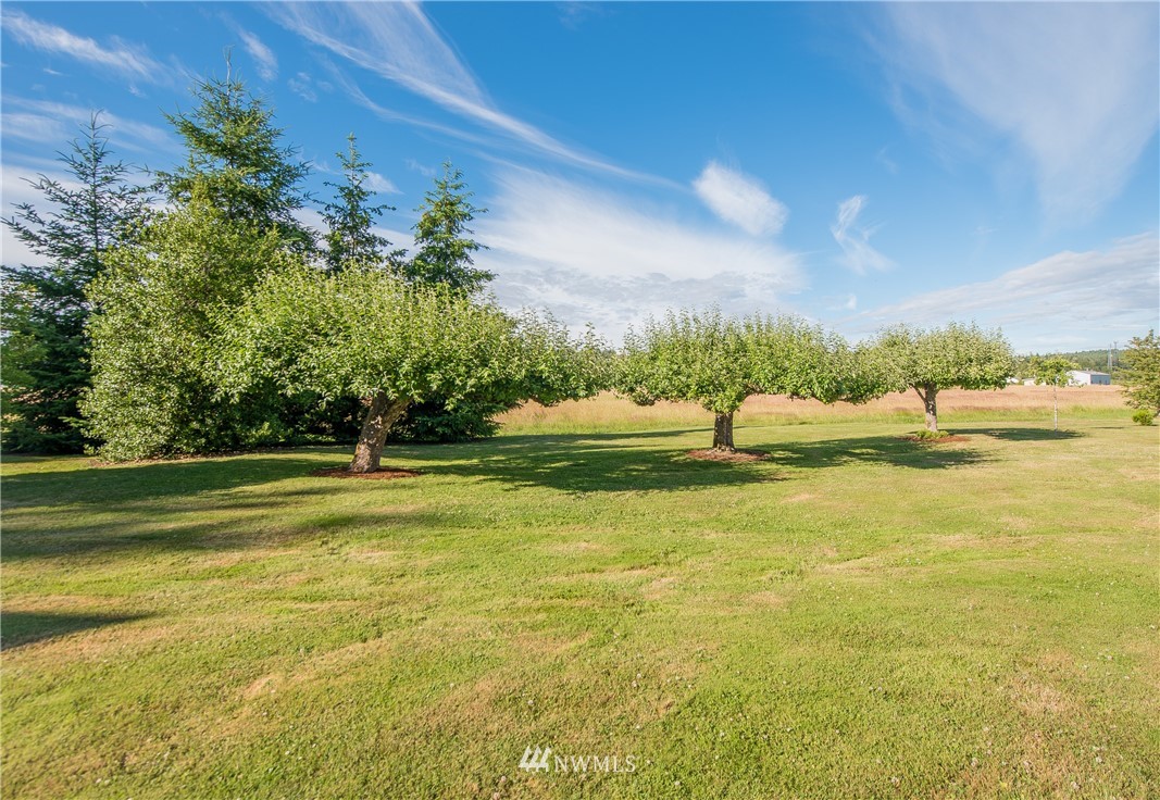 9464 Odell Road Blaine, WA 98230 - Photo 39 of 40 Gallery Image 39