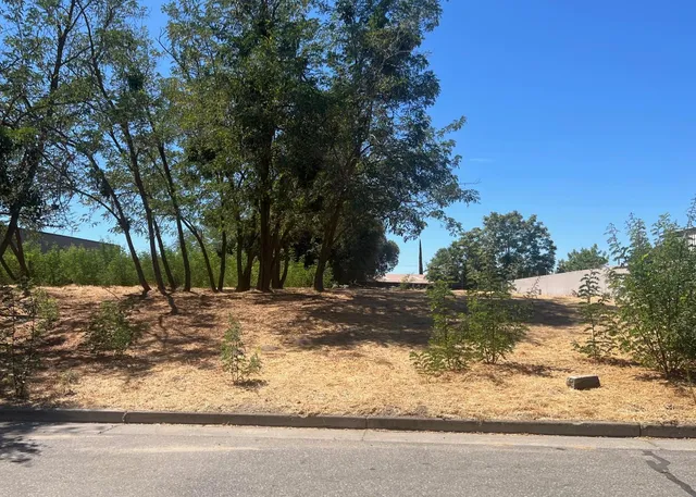a view of a yard with a tree