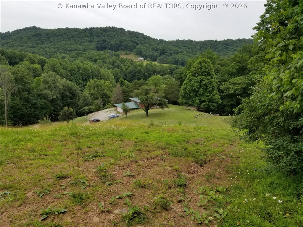2814 Four Mile Road Charleston, WV 25312 - Photo 9 of 25 Gallery Image 9