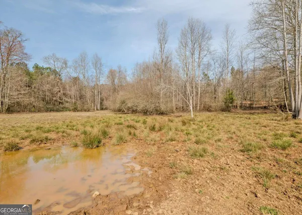 $425,000 | 25-acres Mcfarlin Bridge, Carnesville, GA 30521