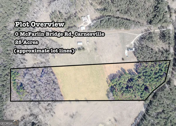 $425,000 | 25-acres Mcfarlin Bridge, Carnesville, GA 30521