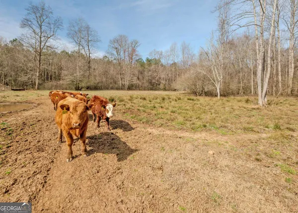 $425,000 | 25-acres Mcfarlin Bridge, Carnesville, GA 30521