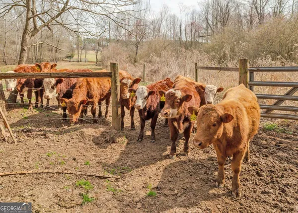 $425,000 | 25-acres Mcfarlin Bridge, Carnesville, GA 30521