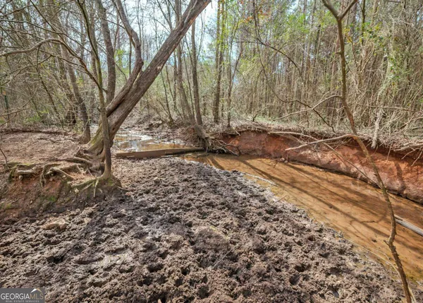 $425,000 | 25-acres Mcfarlin Bridge, Carnesville, GA 30521